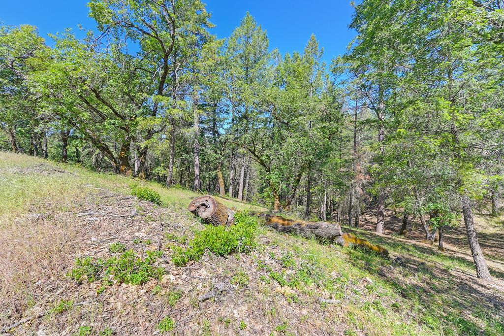 Detail Gallery Image 42 of 59 For 0 John Muir Dr, Colfax,  CA 95713 - – Beds | – Baths