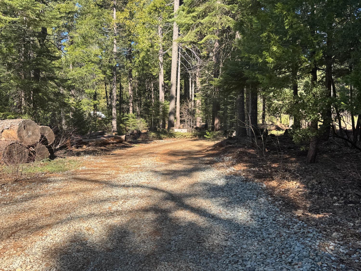 Casci Road, Nevada City, California image 33