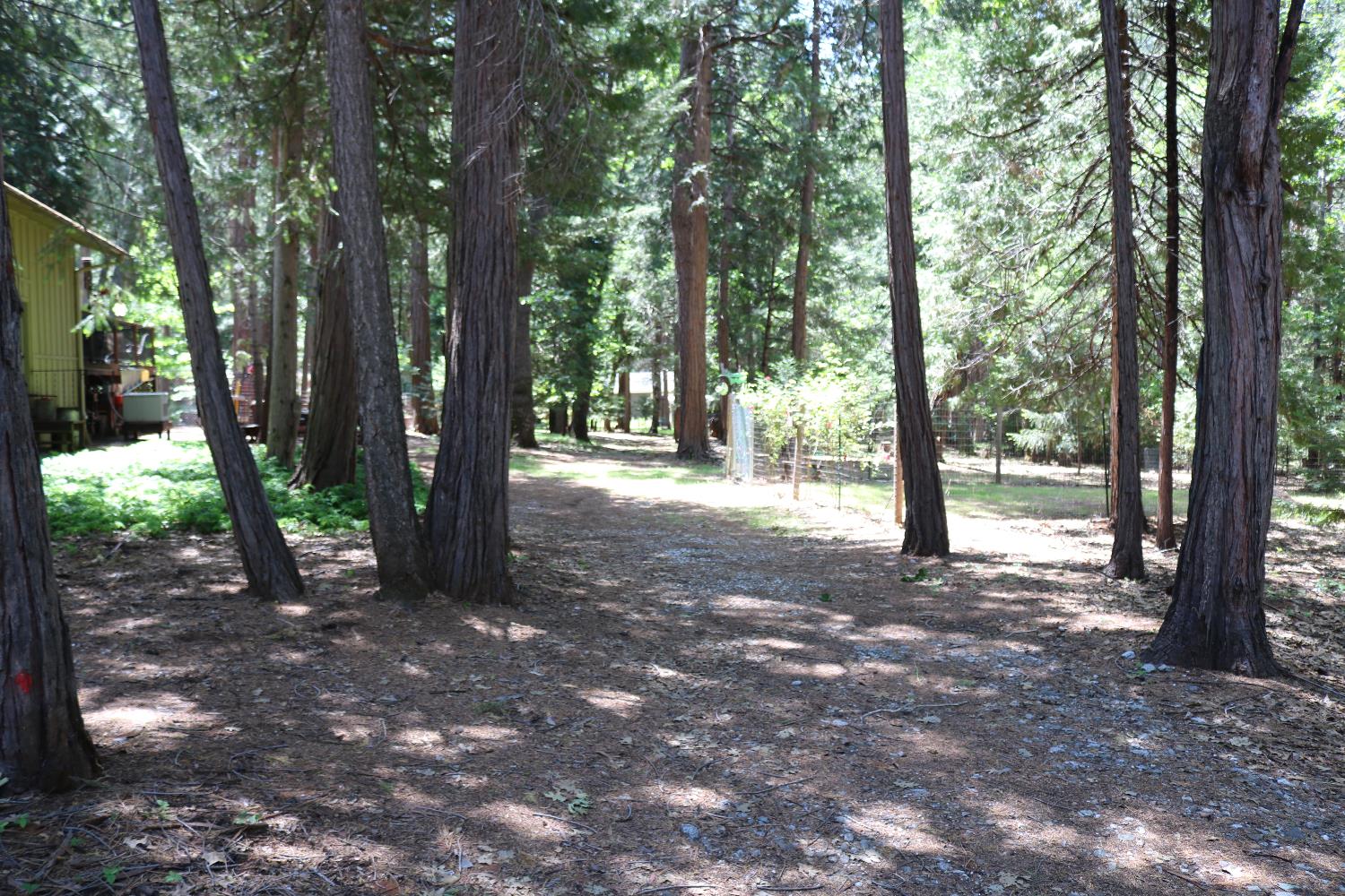 Quaker Hill Cross Road, Nevada City, California image 18