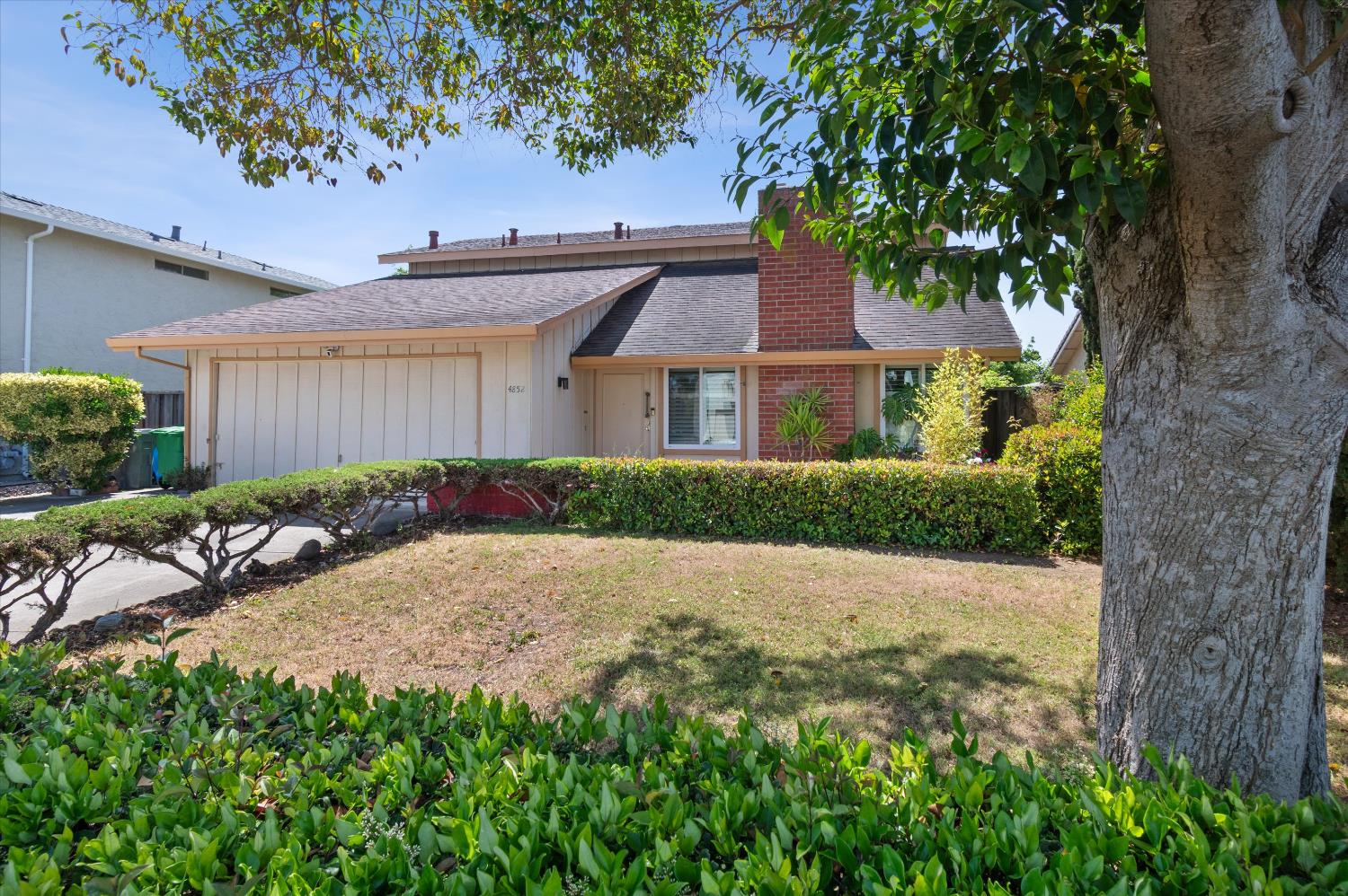 Detail Gallery Image 3 of 32 For 4852 Nadine Ct, Union City,  CA 94587 - 3 Beds | 2/1 Baths