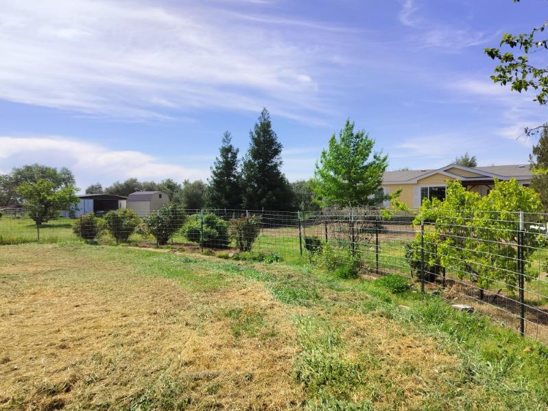 Detail Gallery Image 19 of 33 For 5731 State Highway 99w, Corning,  CA 96021 - 3 Beds | 2 Baths