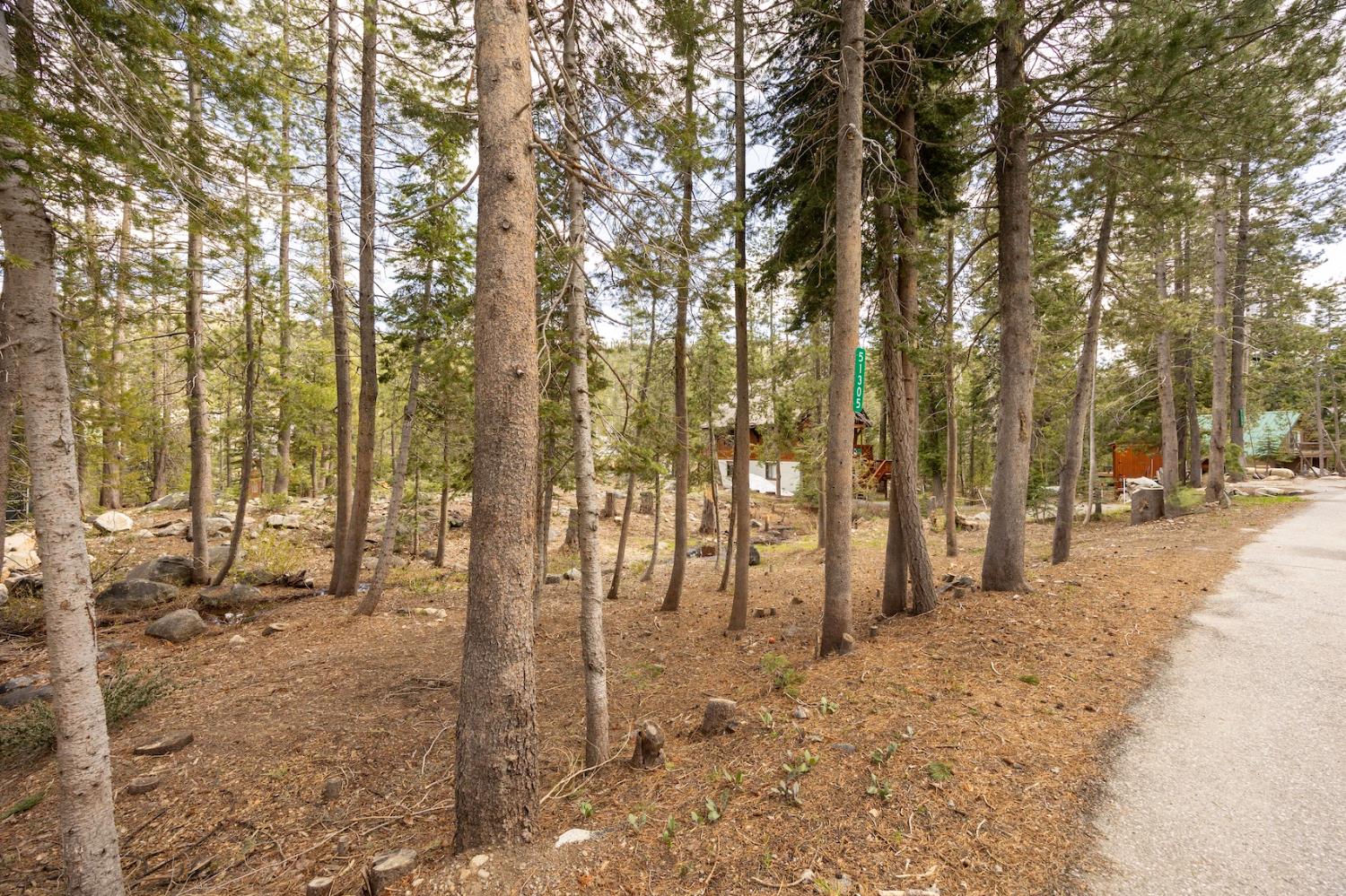 Detail Gallery Image 8 of 13 For 51305 Tamarack Crescent, Soda Springs,  CA 95728 - – Beds | – Baths