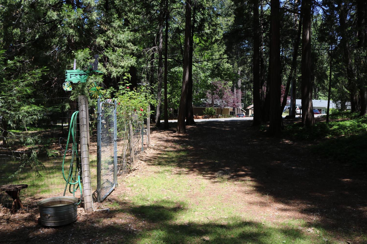 Quaker Hill Cross Road, Nevada City, California image 25
