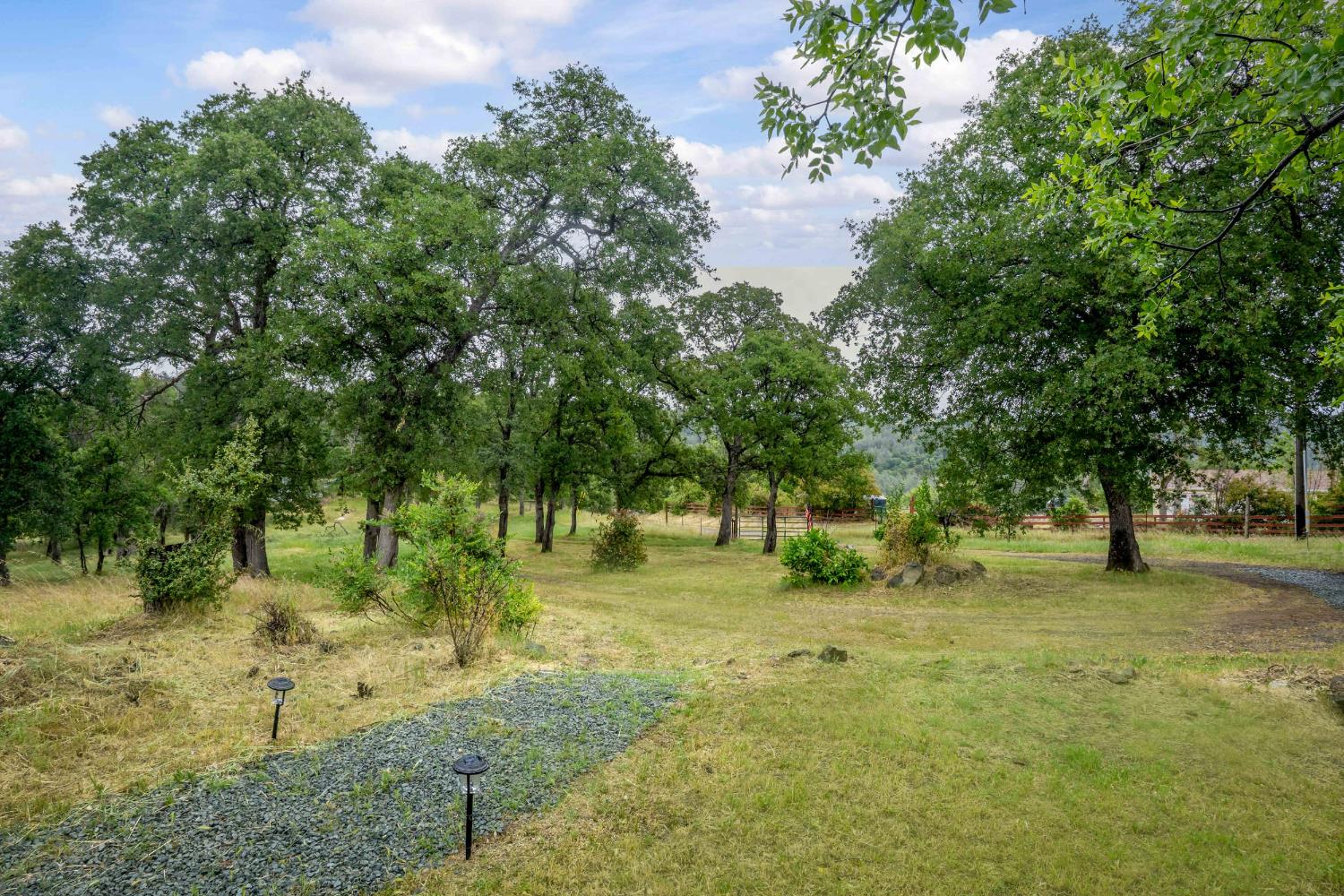 Detail Gallery Image 31 of 47 For 12606 Black Rd, –,  CA 95977 - 3 Beds | 2 Baths