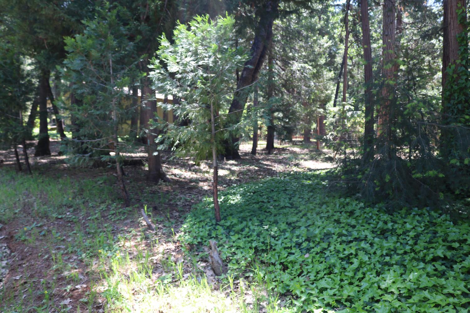 Quaker Hill Cross Road, Nevada City, California image 45
