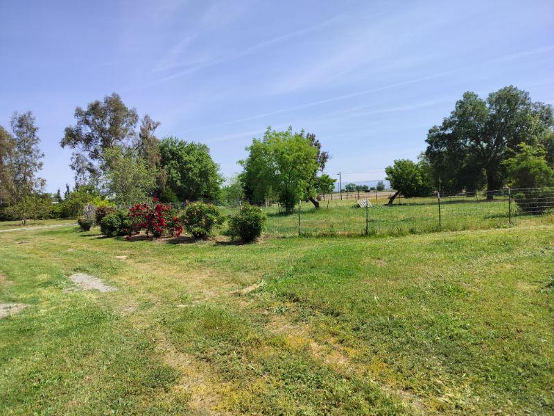 Detail Gallery Image 27 of 33 For 5731 State Highway 99w, Corning,  CA 96021 - 3 Beds | 2 Baths