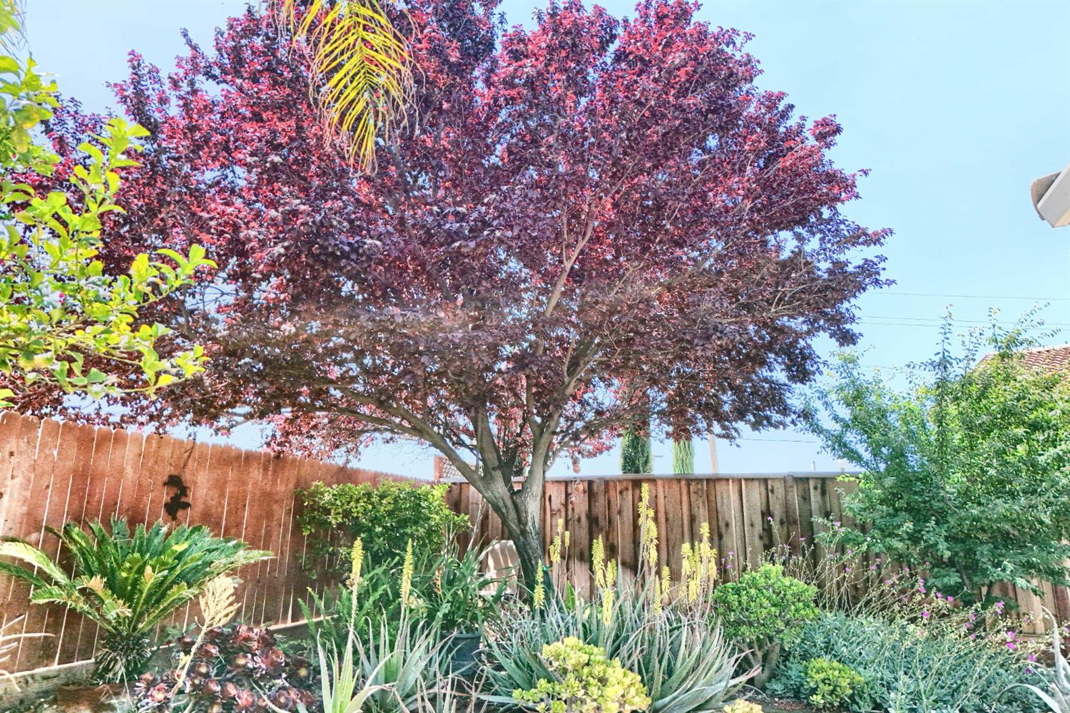 Detail Gallery Image 77 of 98 For 2994 La Vina Cir, Los Banos,  CA 93635 - 3 Beds | 2 Baths
