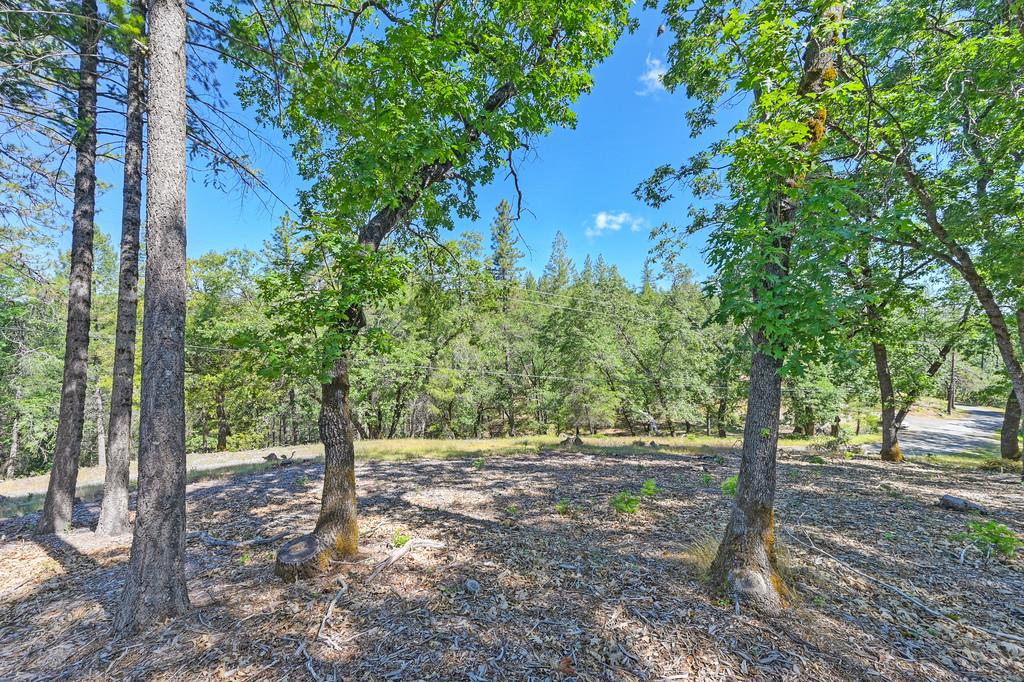 Detail Gallery Image 23 of 59 For 0 John Muir Dr, Colfax,  CA 95713 - – Beds | – Baths
