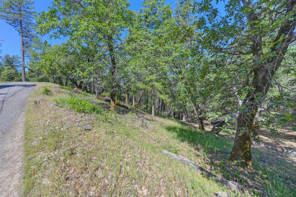 Detail Gallery Image 40 of 59 For 0 John Muir Dr, Colfax,  CA 95713 - – Beds | – Baths