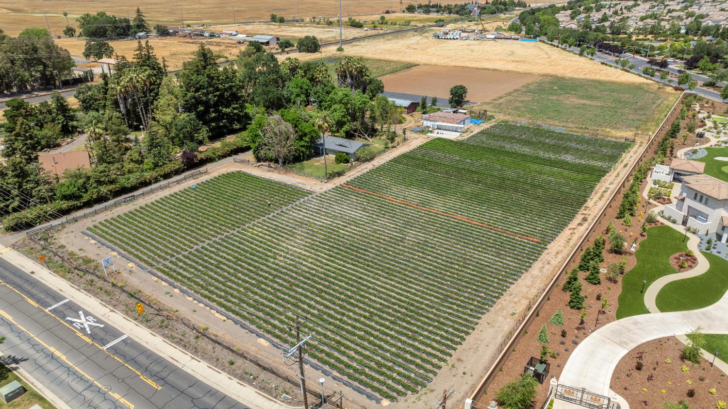 Detail Gallery Image 41 of 43 For 10424 Fossil Way, Elk Grove,  CA 95757 - 4 Beds | 3/1 Baths
