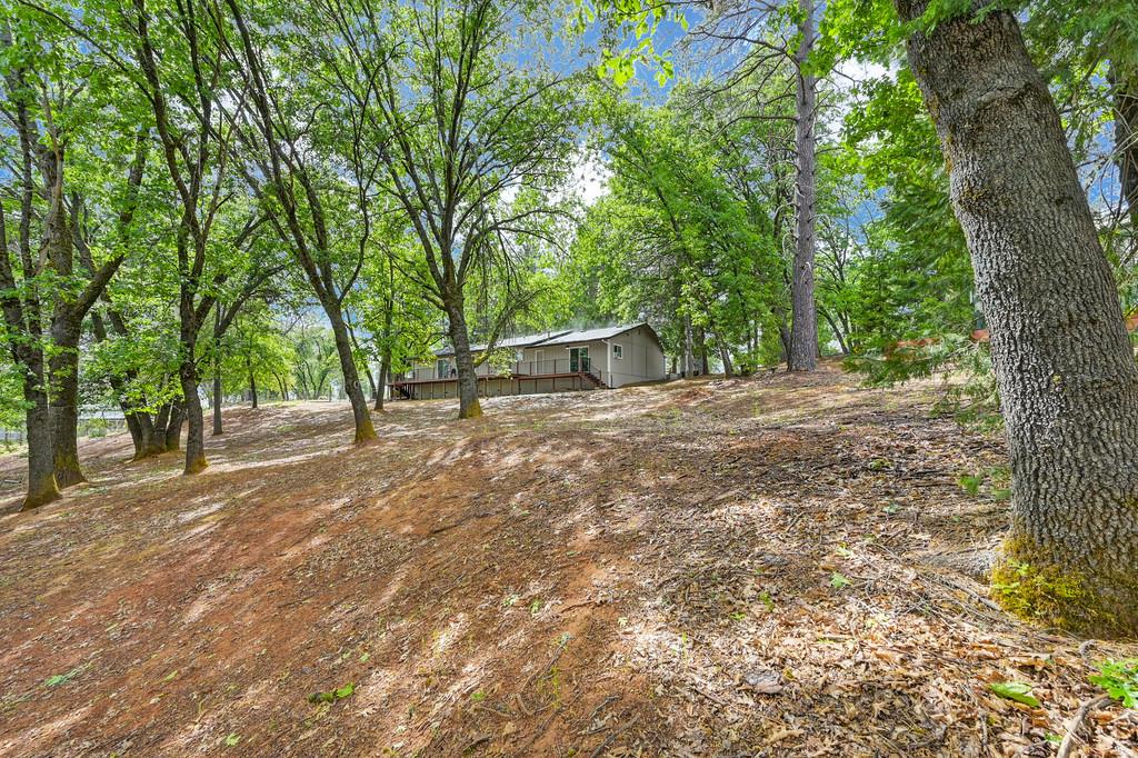 Detail Gallery Image 81 of 90 For 25375 Pineview Dr, Colfax,  CA 95713 - 3 Beds | 2 Baths