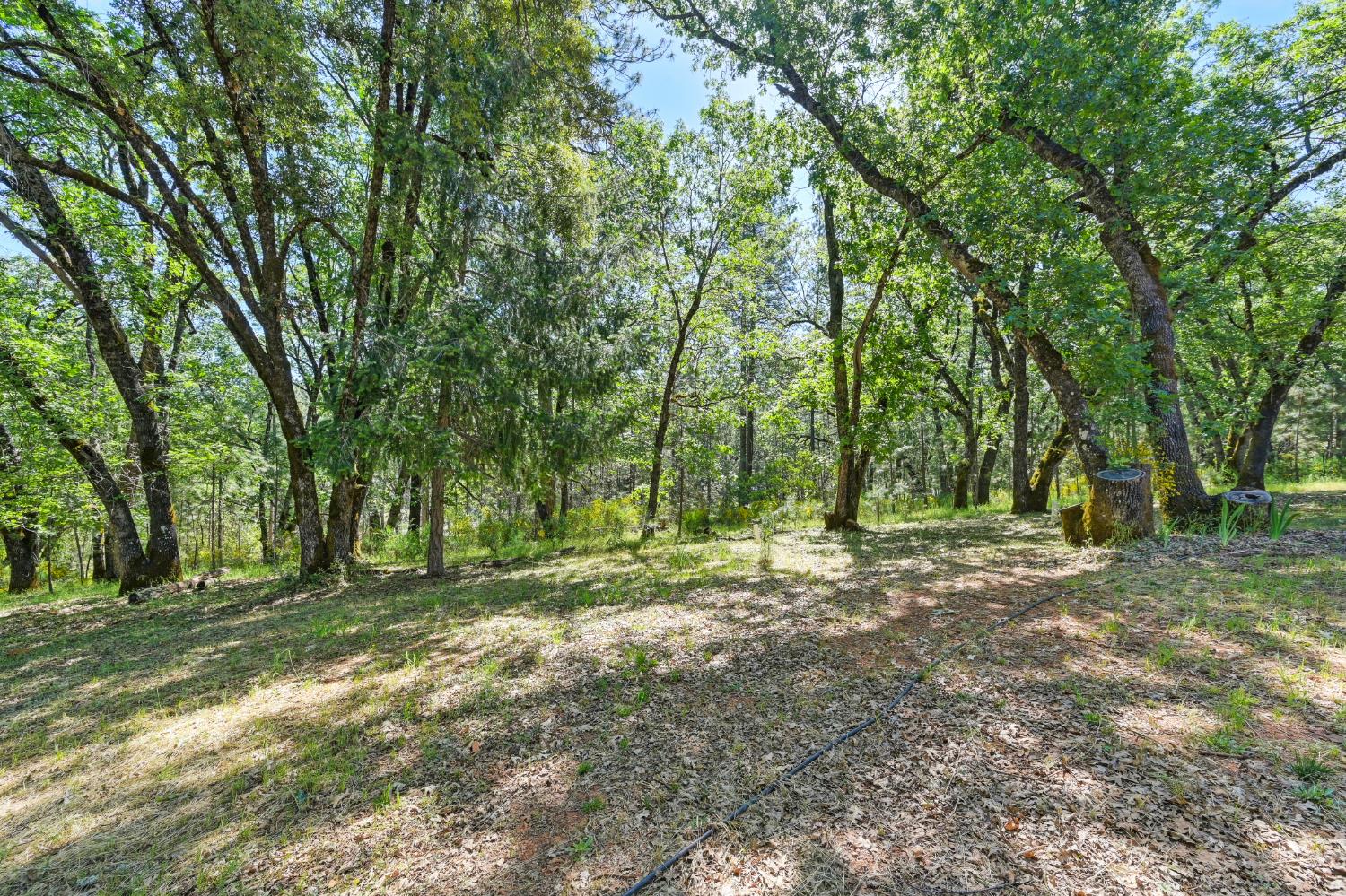 Hilltop Road, Garden Valley, California image 39