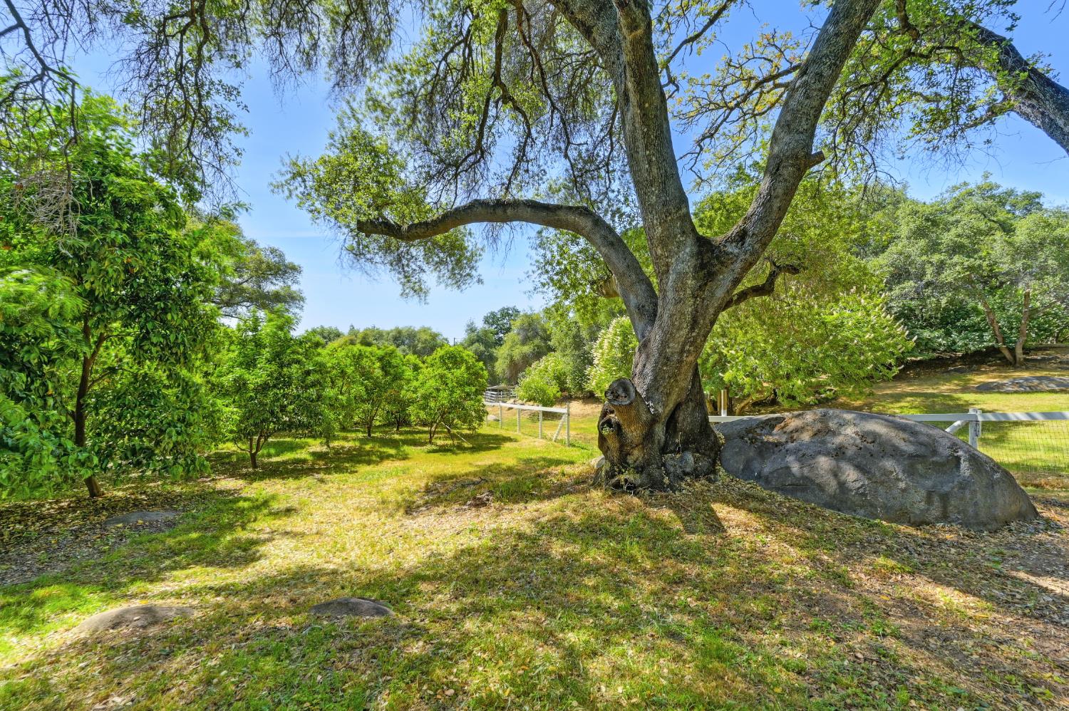 Detail Gallery Image 8 of 97 For 4141 Prospector Rd, Loomis,  CA 95650 - 4 Beds | 2 Baths