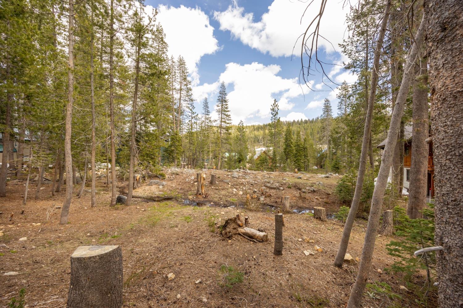 Detail Gallery Image 7 of 13 For 51305 Tamarack Crescent, Soda Springs,  CA 95728 - – Beds | – Baths