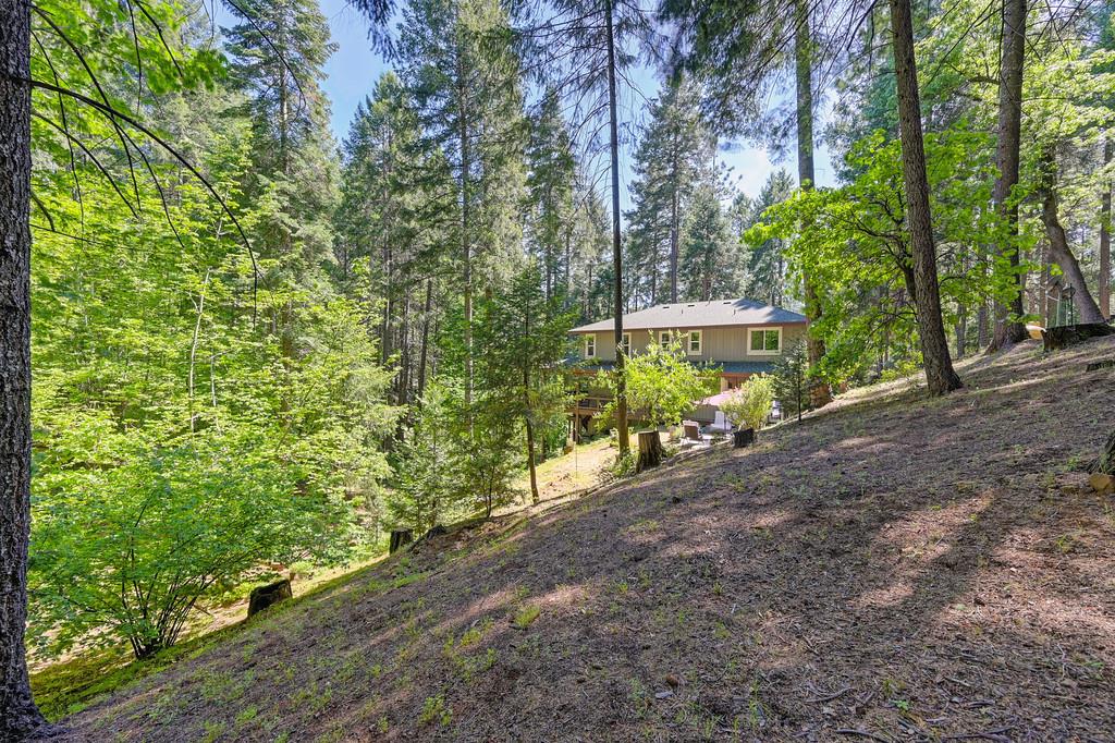 Detail Gallery Image 81 of 92 For 5321 Slalom Ln, Pollock Pines,  CA 95726 - 3 Beds | 2/1 Baths