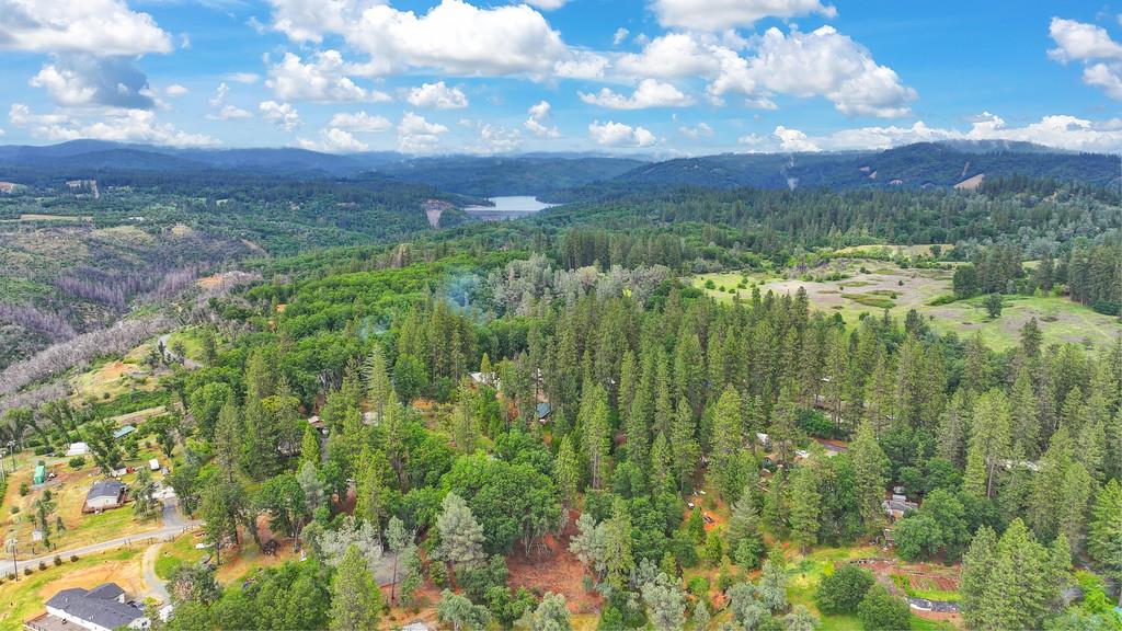 Detail Gallery Image 90 of 90 For 25375 Pineview Dr, Colfax,  CA 95713 - 3 Beds | 2 Baths