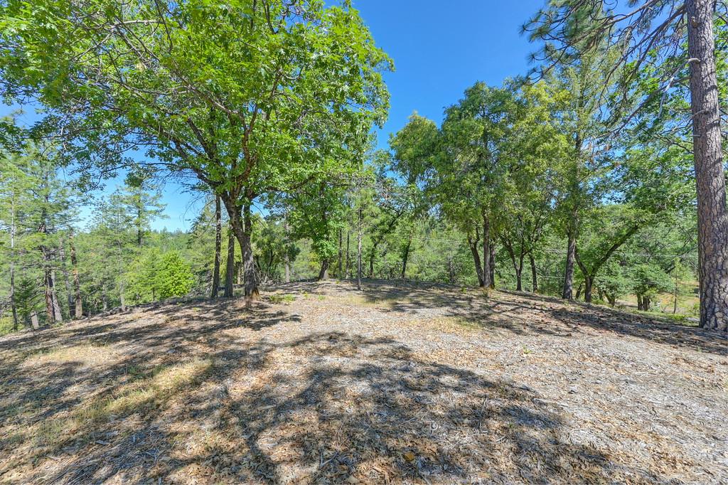 Detail Gallery Image 22 of 59 For 0 John Muir Dr, Colfax,  CA 95713 - – Beds | – Baths