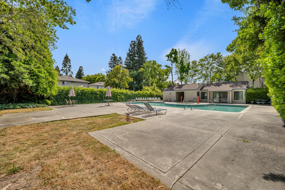 Photo #22: 225063831 Listing: Photo #22