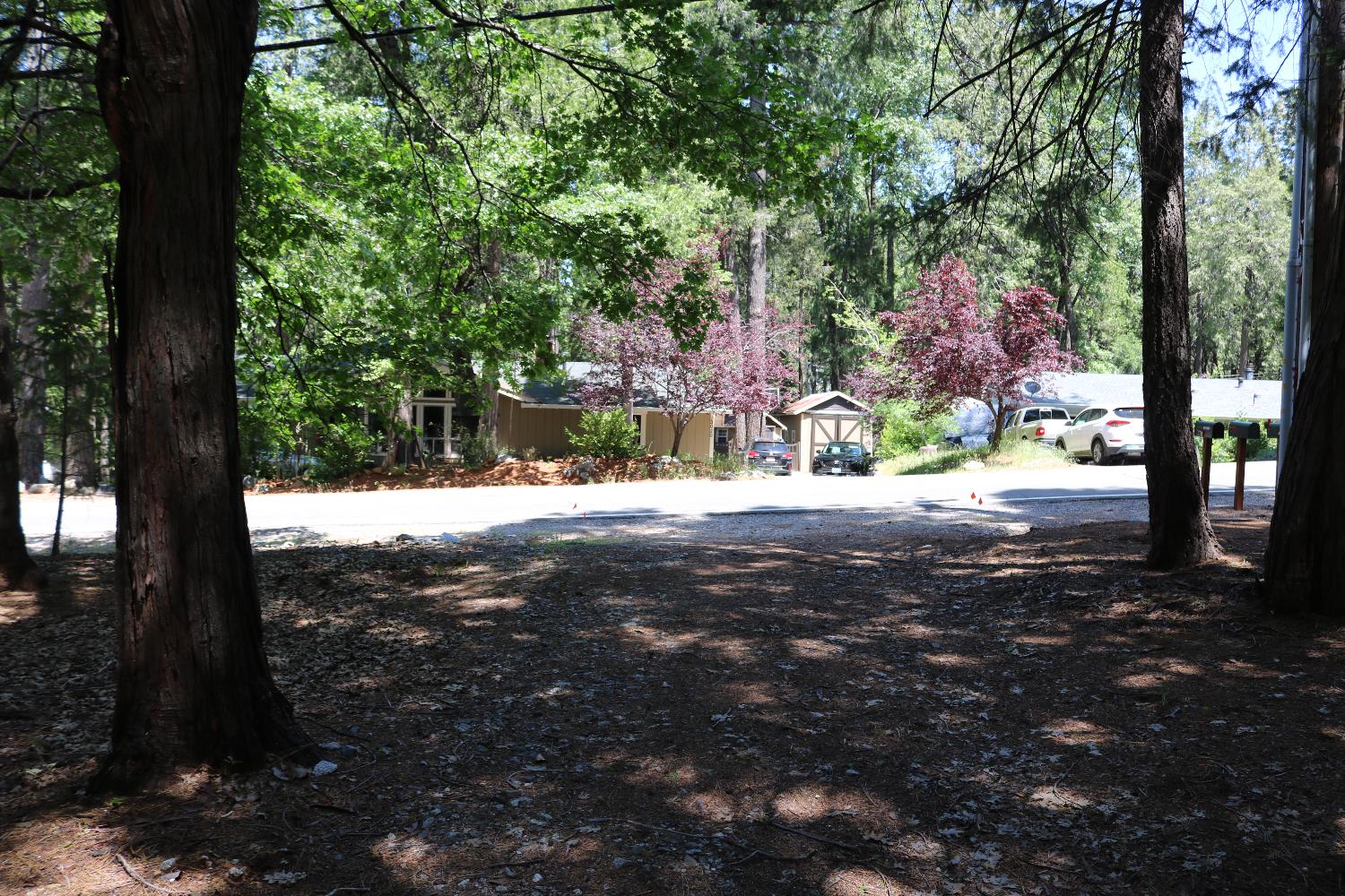 Quaker Hill Cross Road, Nevada City, California image 21