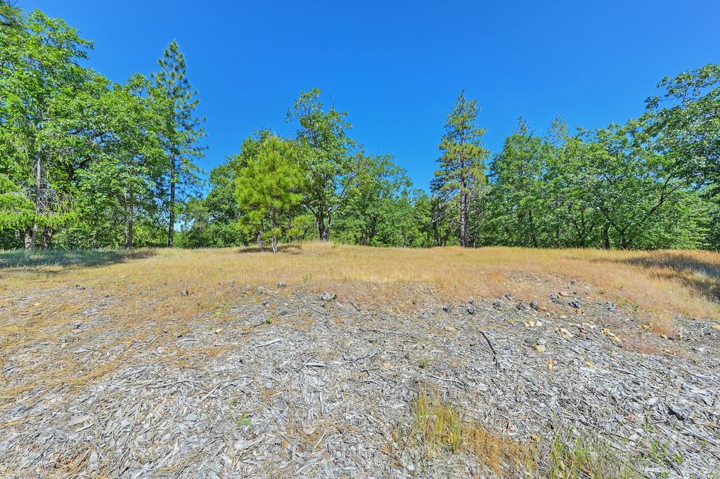 Detail Gallery Image 7 of 59 For 0 John Muir Dr, Colfax,  CA 95713 - – Beds | – Baths