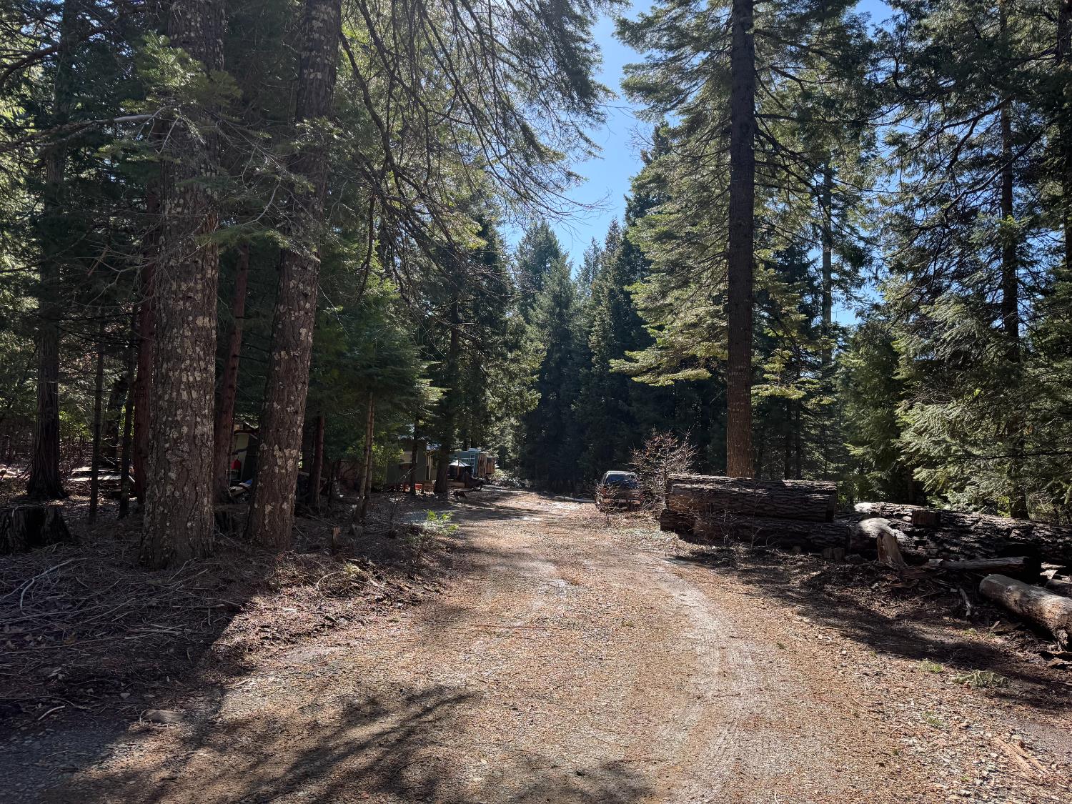 Casci Road, Nevada City, California image 1