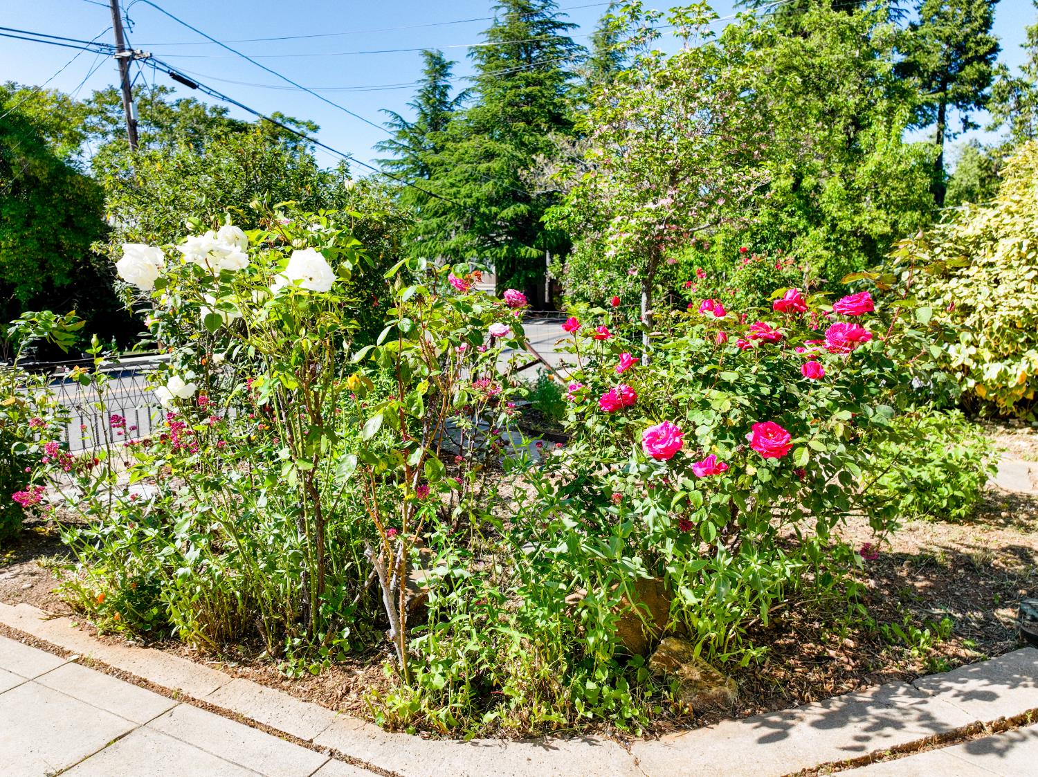 Detail Gallery Image 52 of 64 For 315 Pleasant St, Grass Valley,  CA 95945 - 3 Beds | 2/1 Baths