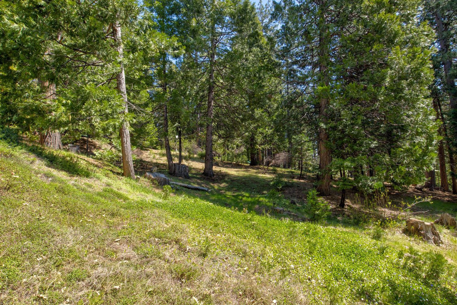 Detail Gallery Image 66 of 78 For 1004 Bear Run Way, Camp Connell,  CA 95223 - 3 Beds | 3/1 Baths