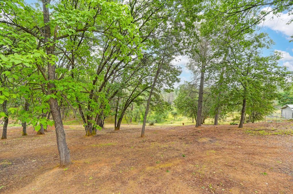 Detail Gallery Image 86 of 90 For 25375 Pineview Dr, Colfax,  CA 95713 - 3 Beds | 2 Baths