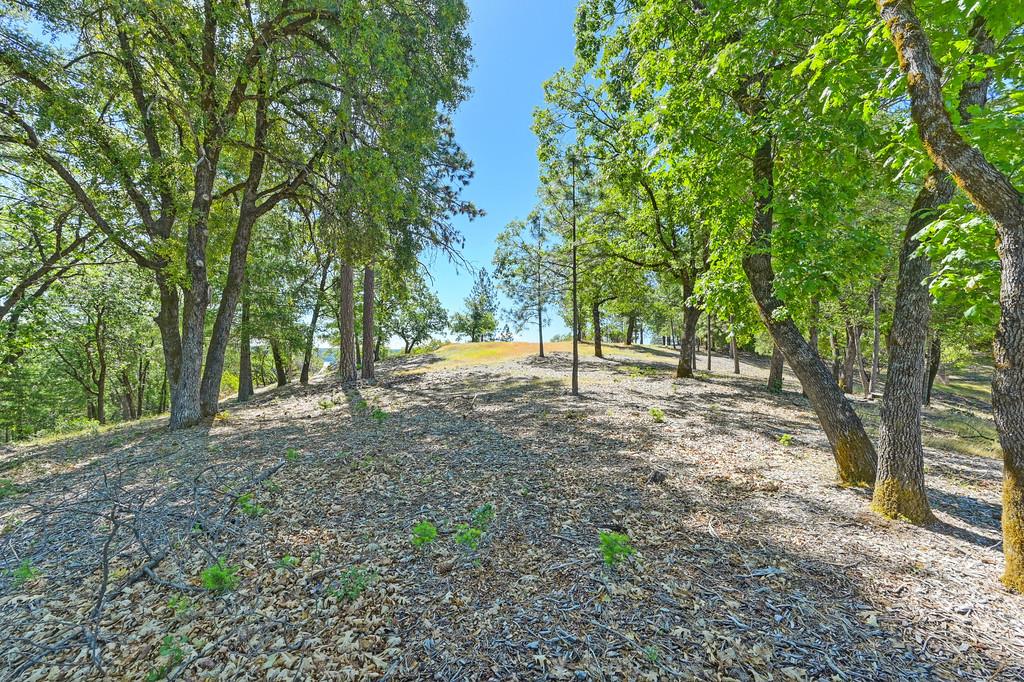 Detail Gallery Image 24 of 59 For 0 John Muir Dr, Colfax,  CA 95713 - – Beds | – Baths
