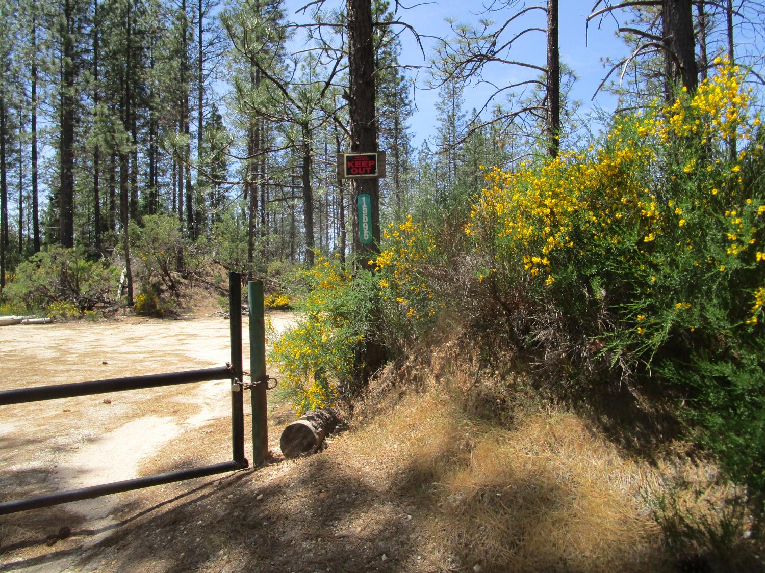 Detail Gallery Image 18 of 24 For 15699 Tyler Foote Rd, Nevada City,  CA 95959 - – Beds | – Baths