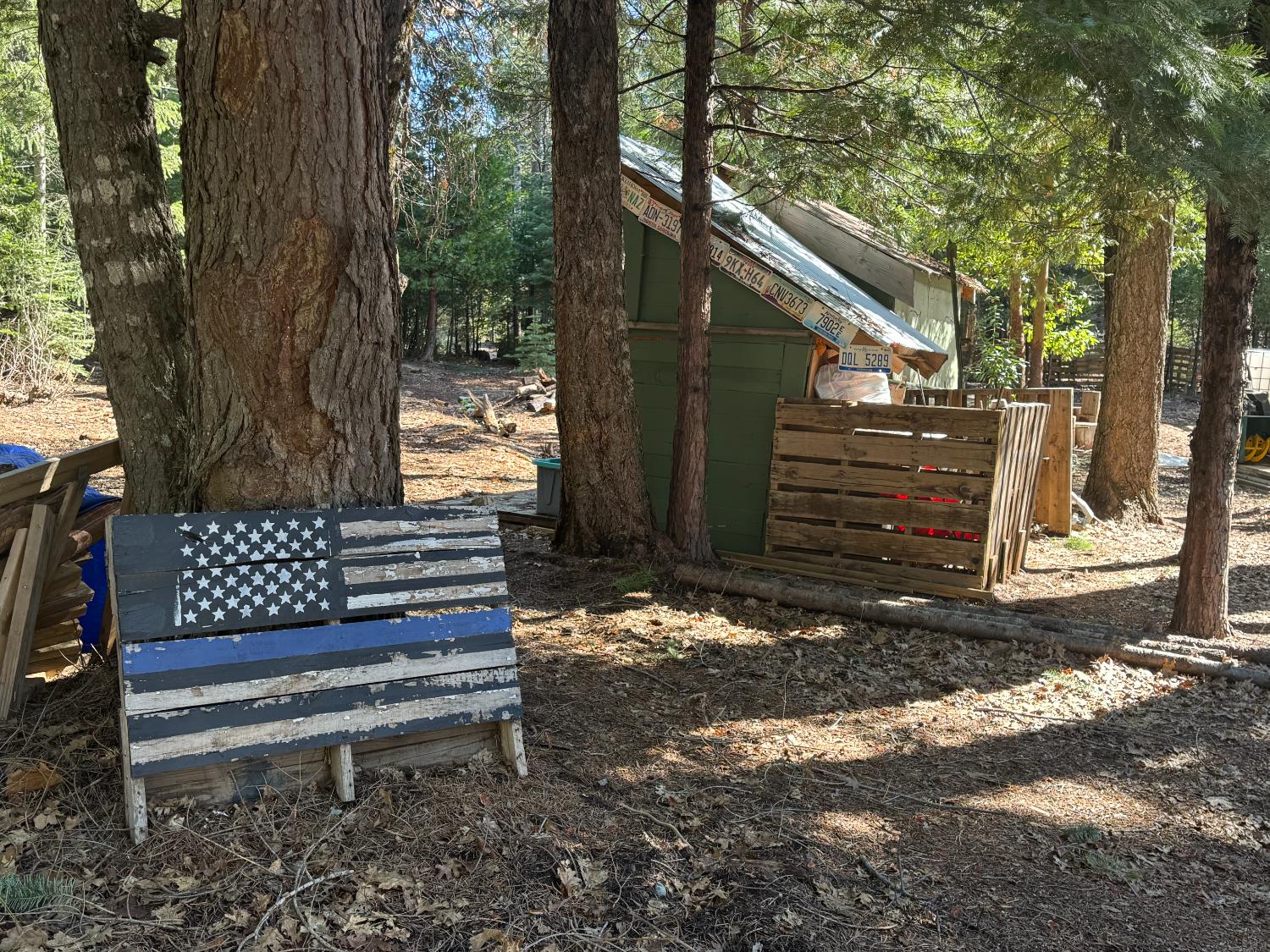Casci Road, Nevada City, California image 27