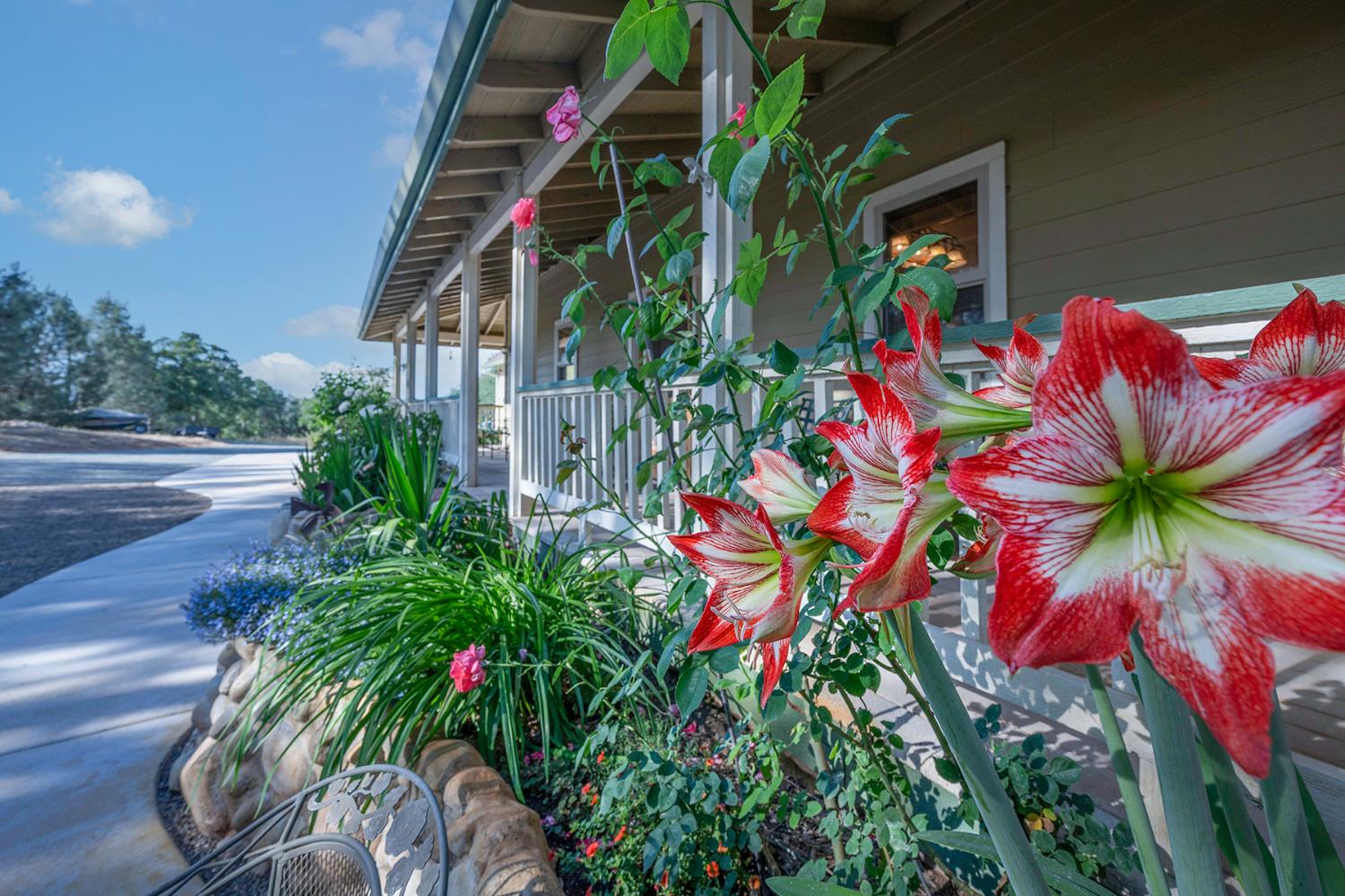 Detail Gallery Image 3 of 79 For 6060 Stony Creek Rd, Jackson,  CA 95642 - 3 Beds | 2/1 Baths