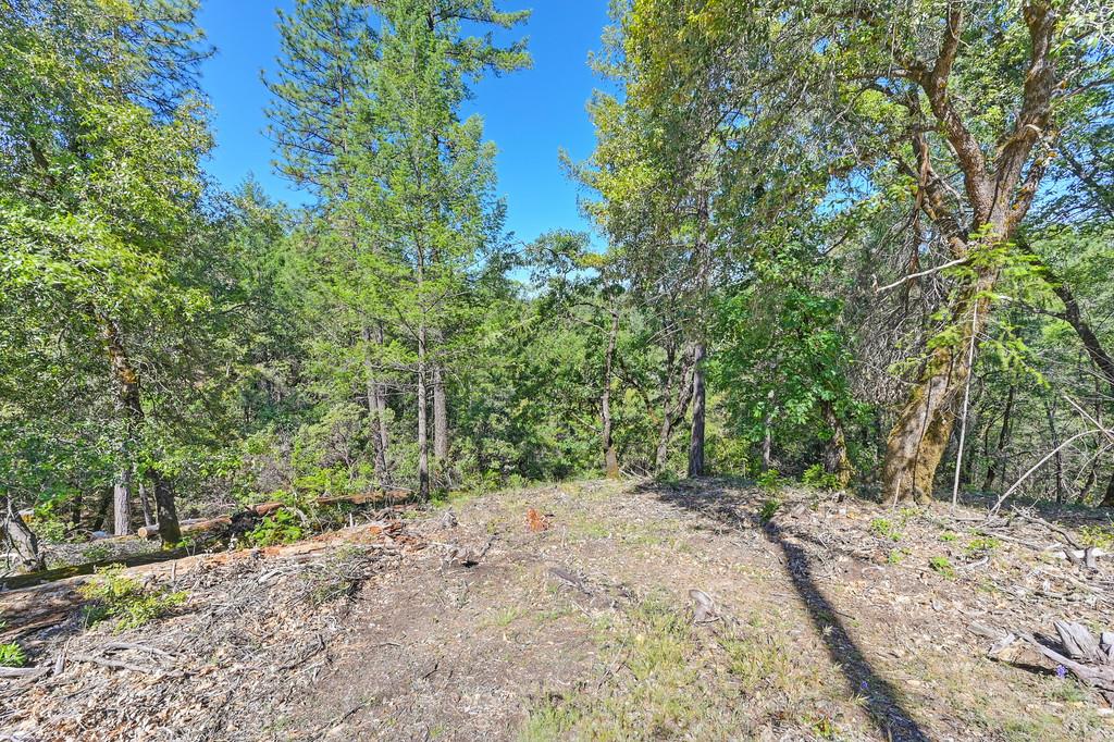 Detail Gallery Image 44 of 59 For 0 John Muir Dr, Colfax,  CA 95713 - – Beds | – Baths