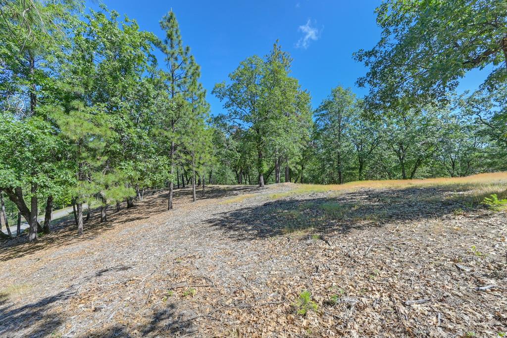 Detail Gallery Image 21 of 59 For 0 John Muir Dr, Colfax,  CA 95713 - – Beds | – Baths