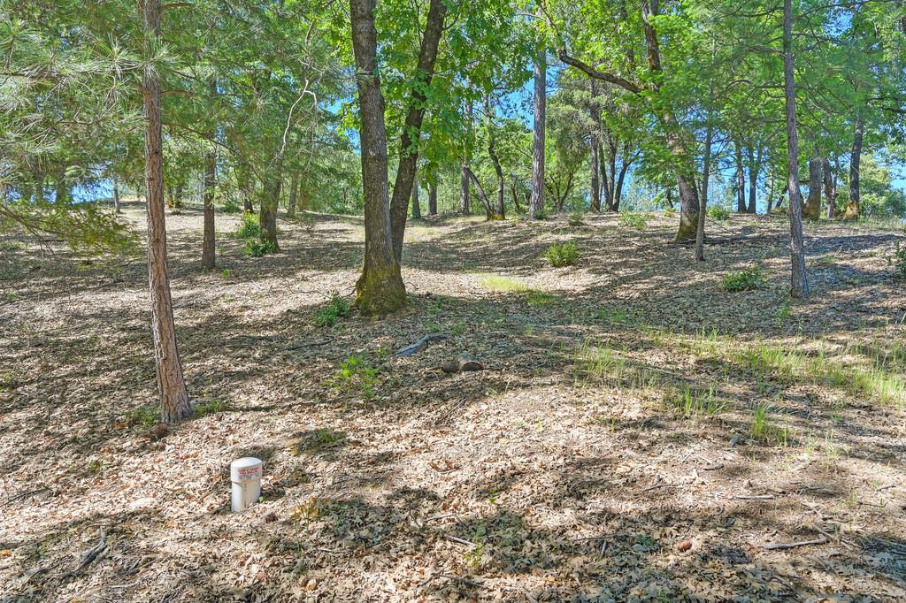 Detail Gallery Image 25 of 59 For 0 John Muir Dr, Colfax,  CA 95713 - – Beds | – Baths