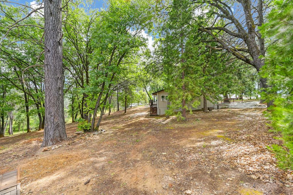 Detail Gallery Image 85 of 90 For 25375 Pineview Dr, Colfax,  CA 95713 - 3 Beds | 2 Baths