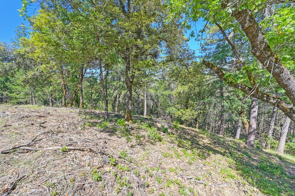 Detail Gallery Image 43 of 59 For 0 John Muir Dr, Colfax,  CA 95713 - – Beds | – Baths