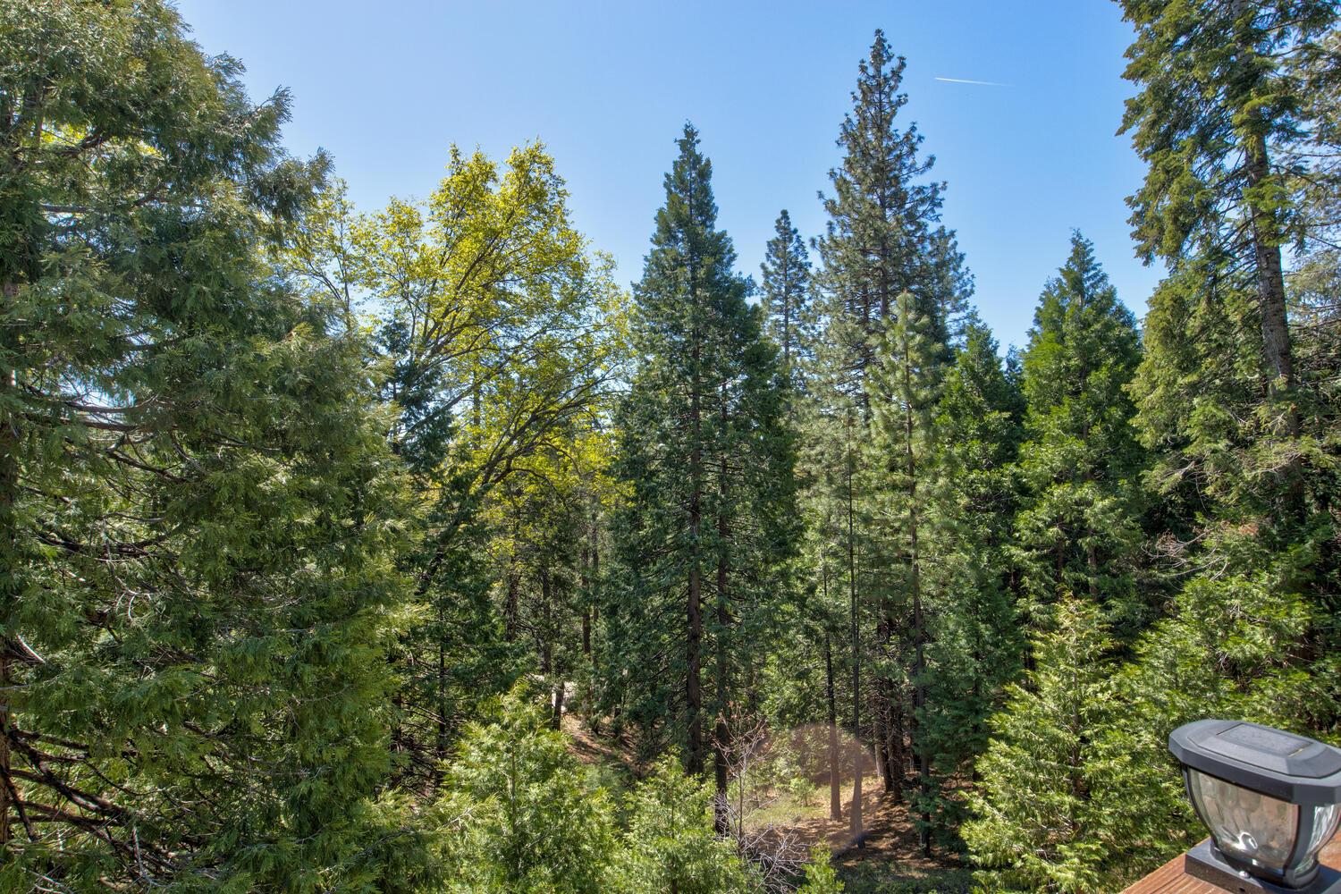 Detail Gallery Image 57 of 78 For 1004 Bear Run Way, Camp Connell,  CA 95223 - 3 Beds | 3/1 Baths