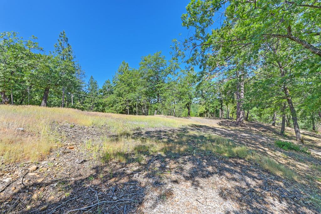 Detail Gallery Image 18 of 59 For 0 John Muir Dr, Colfax,  CA 95713 - – Beds | – Baths