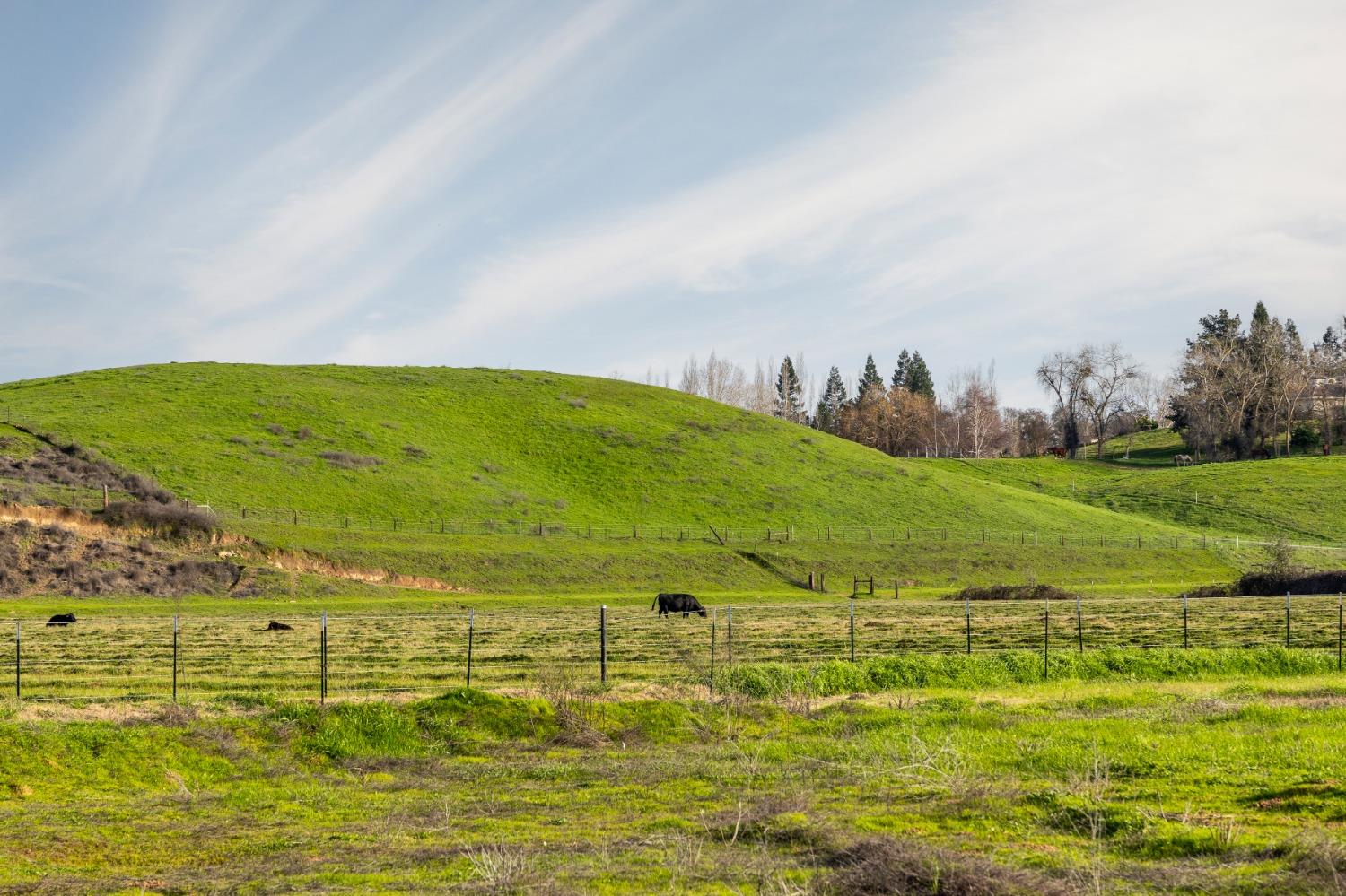 Detail Gallery Image 28 of 31 For 25045 N Mcintire Rd, Clements,  CA 95227 - – Beds | – Baths
