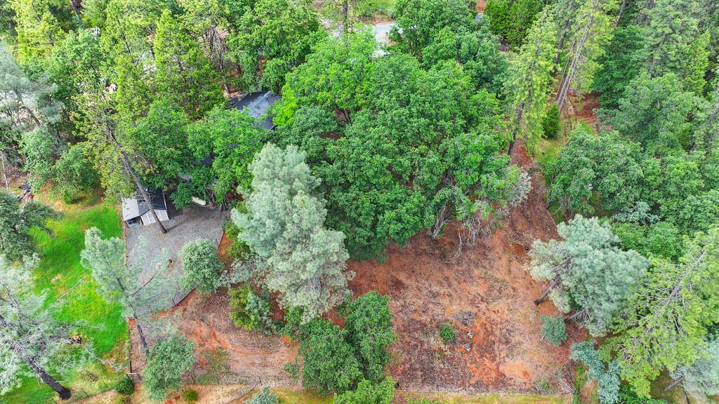 Detail Gallery Image 89 of 90 For 25375 Pineview Dr, Colfax,  CA 95713 - 3 Beds | 2 Baths