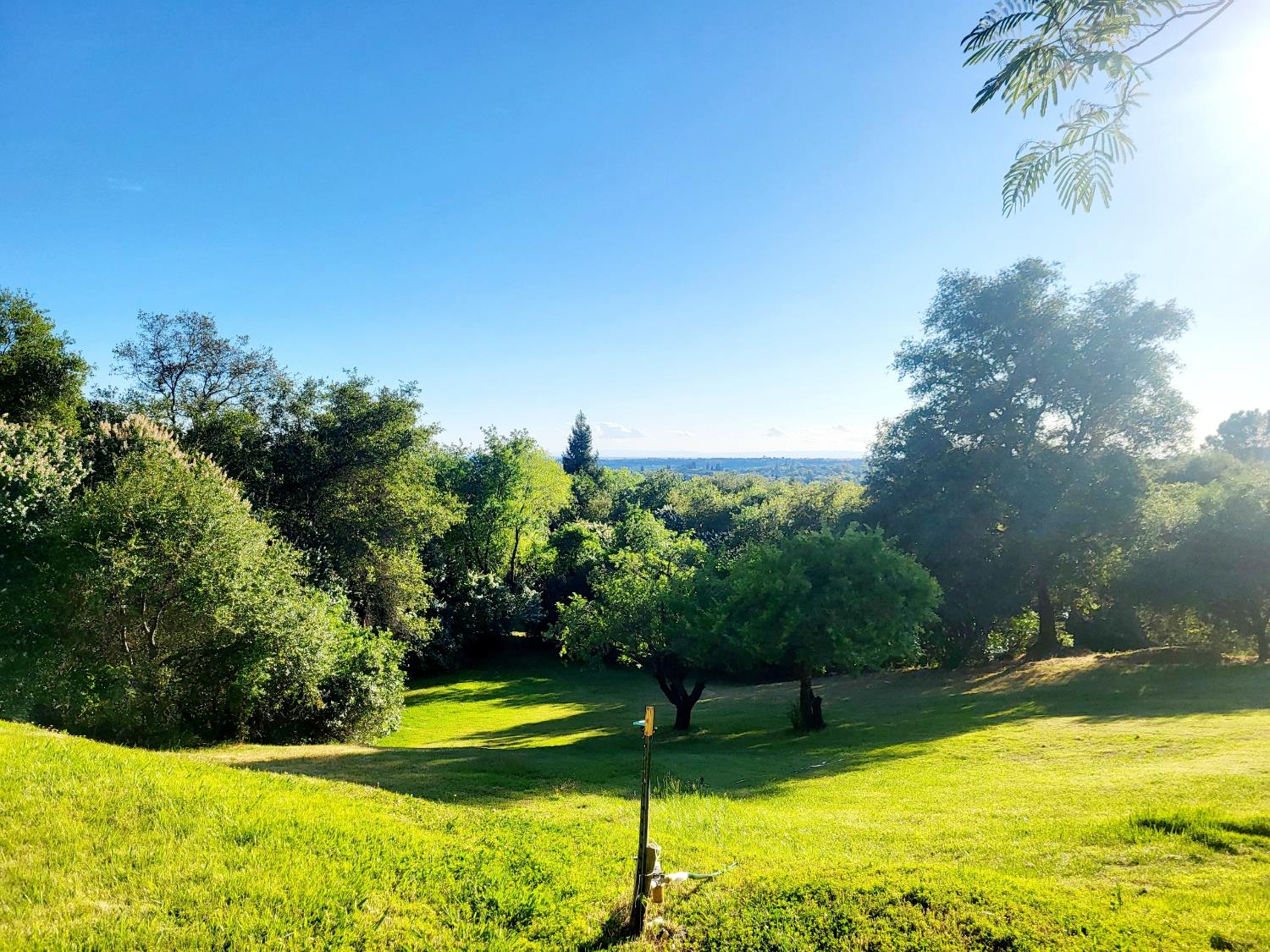 Detail Gallery Image 51 of 78 For 1374 Orange Hill Ln, Penryn,  CA 95663 - 4 Beds | 2 Baths