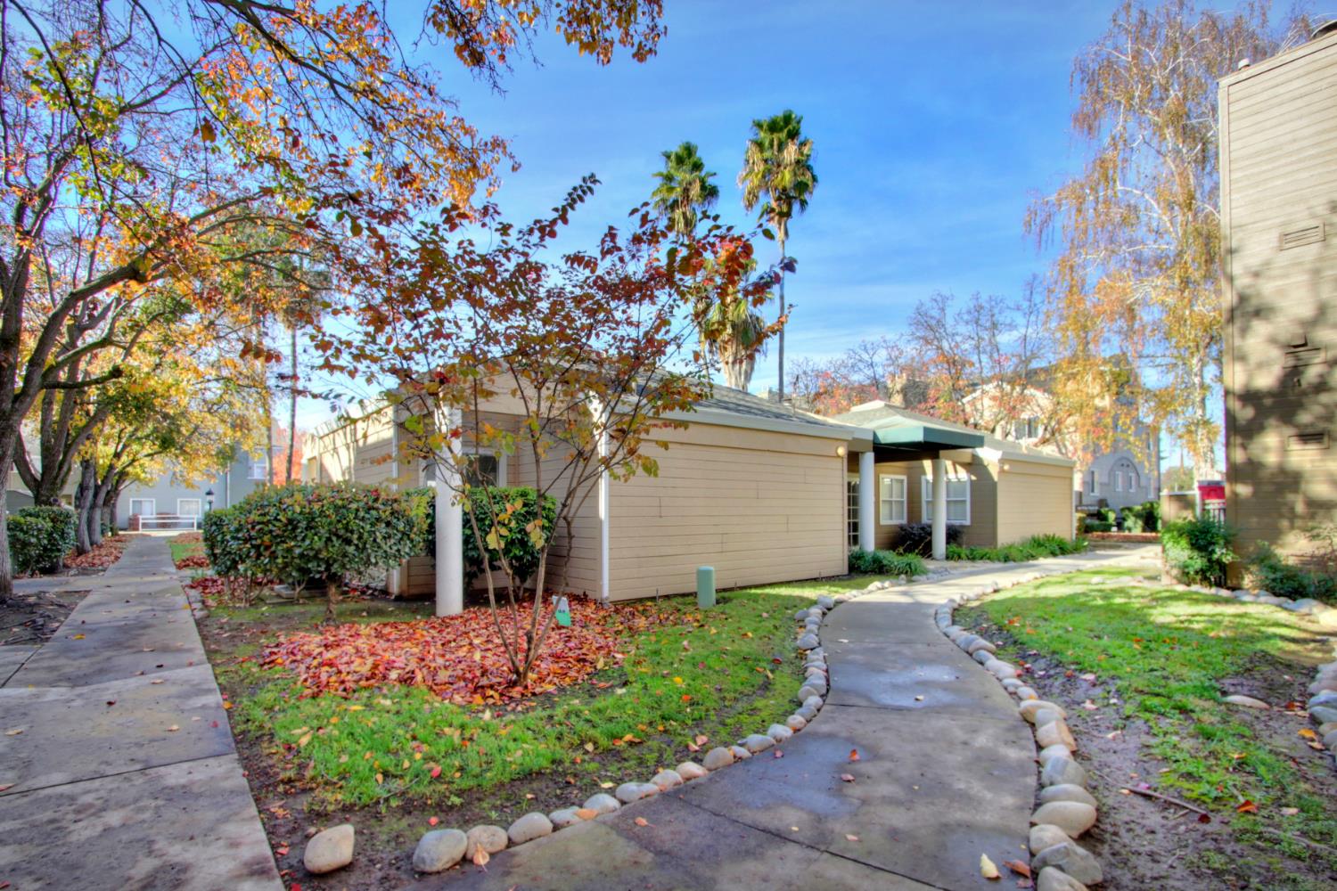 Photo #16: 225064167 Listing: Photo #16