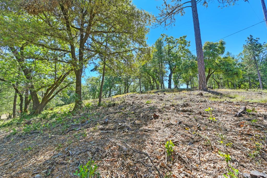Detail Gallery Image 50 of 59 For 0 John Muir Dr, Colfax,  CA 95713 - – Beds | – Baths
