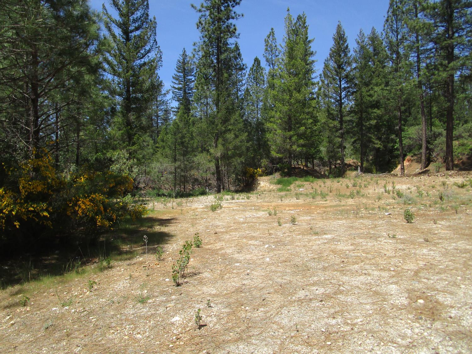 Detail Gallery Image 15 of 24 For 15699 Tyler Foote Rd, Nevada City,  CA 95959 - – Beds | – Baths