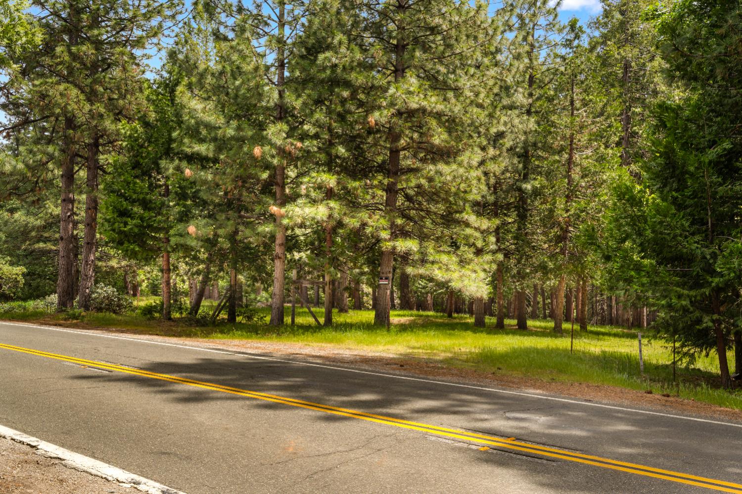 Banner Quaker Hill Road, Nevada City, California image 13