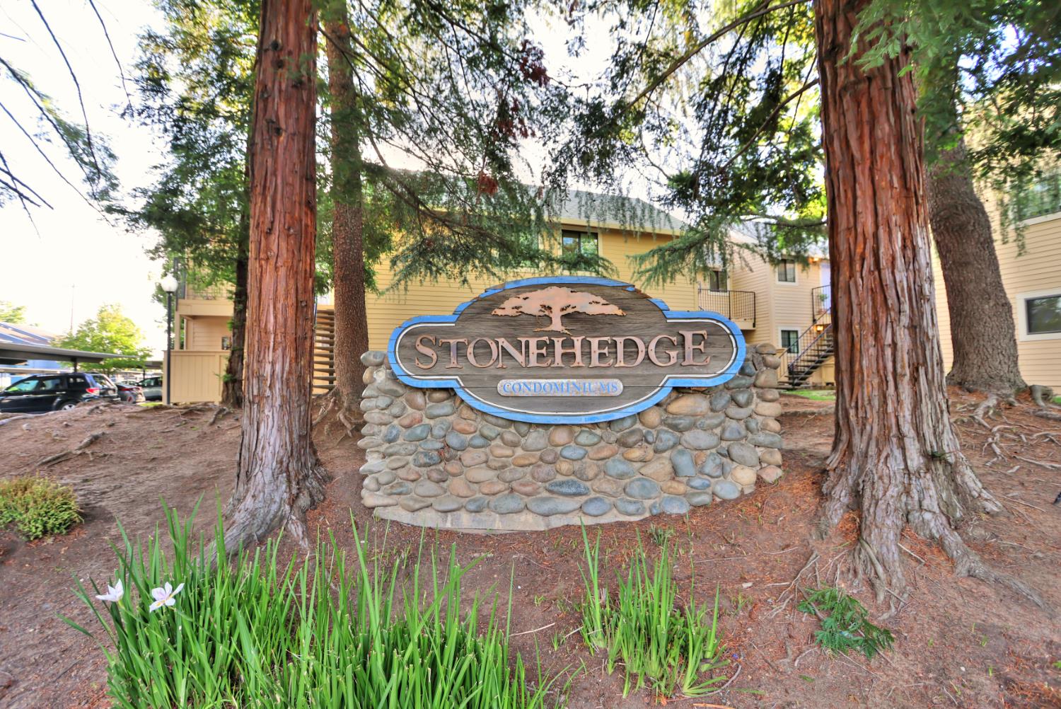 Detail Gallery Image 1 of 36 For 7437 Auburn Oaks Ct #E,  Citrus Heights,  CA 95621 - 2 Beds | 1 Baths