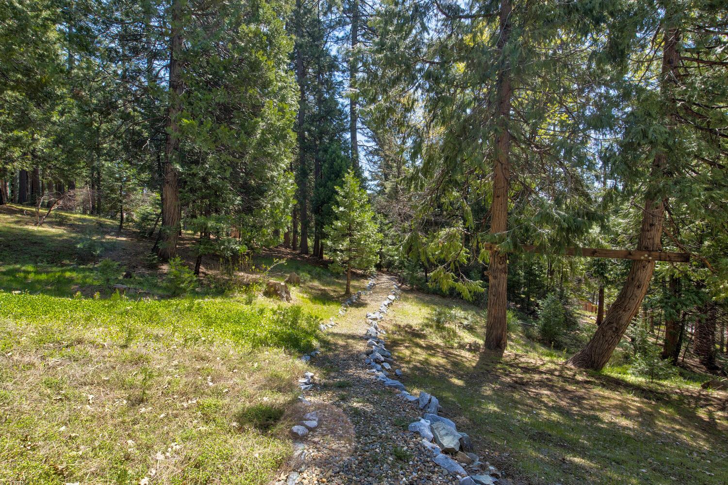 Detail Gallery Image 65 of 78 For 1004 Bear Run Way, Camp Connell,  CA 95223 - 3 Beds | 3/1 Baths