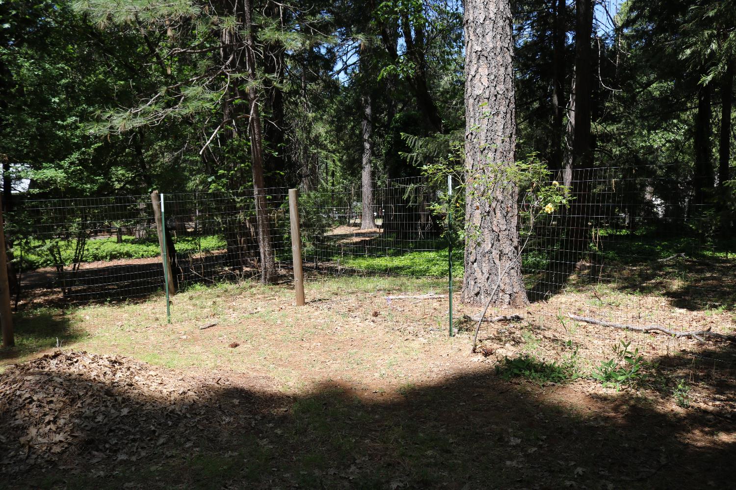Quaker Hill Cross Road, Nevada City, California image 37