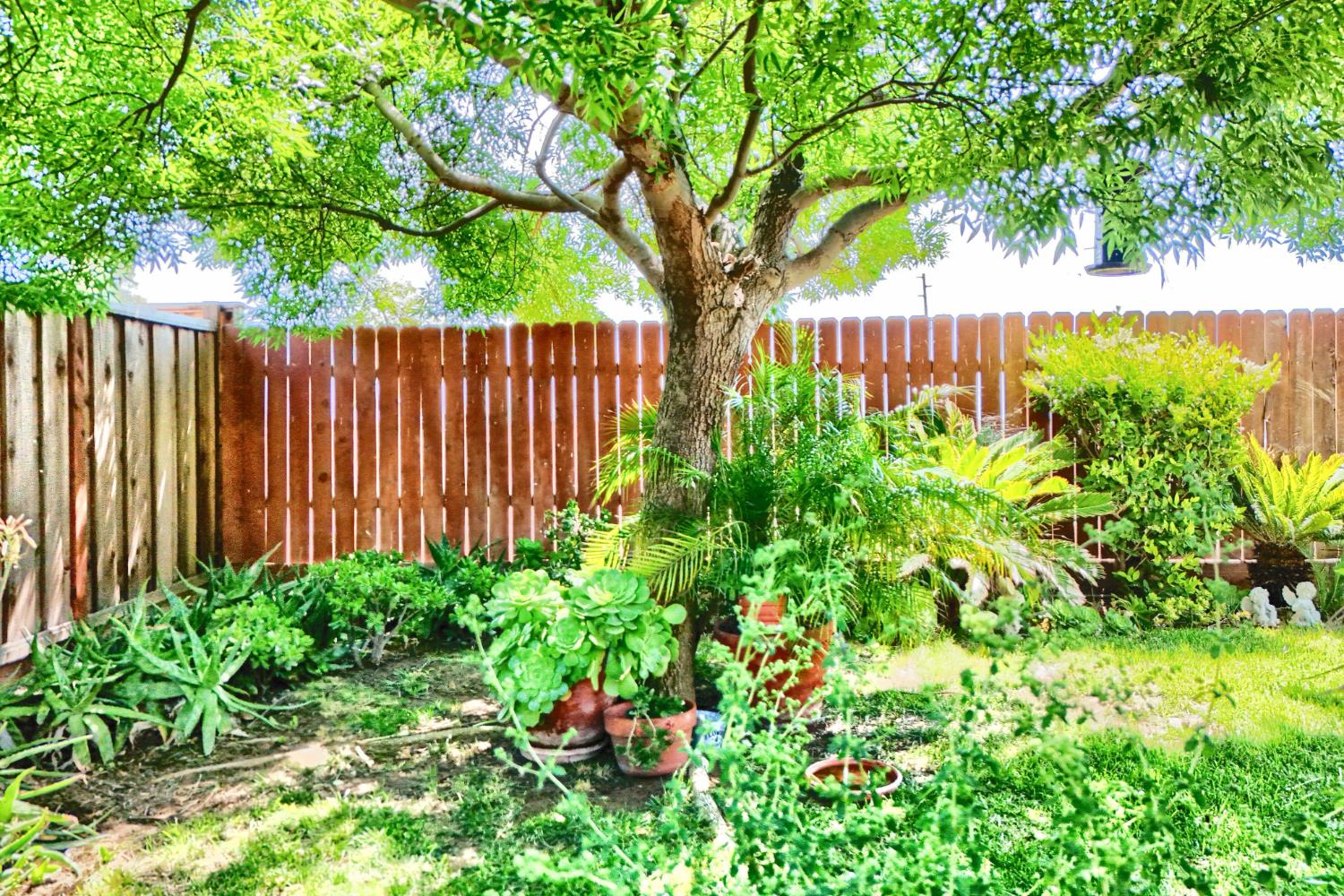 Detail Gallery Image 73 of 98 For 2994 La Vina Cir, Los Banos,  CA 93635 - 3 Beds | 2 Baths